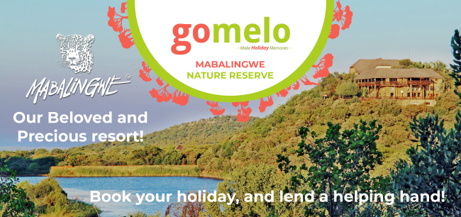 Header Banner (Mabalingwe) Header Banner (Mabalingwe)